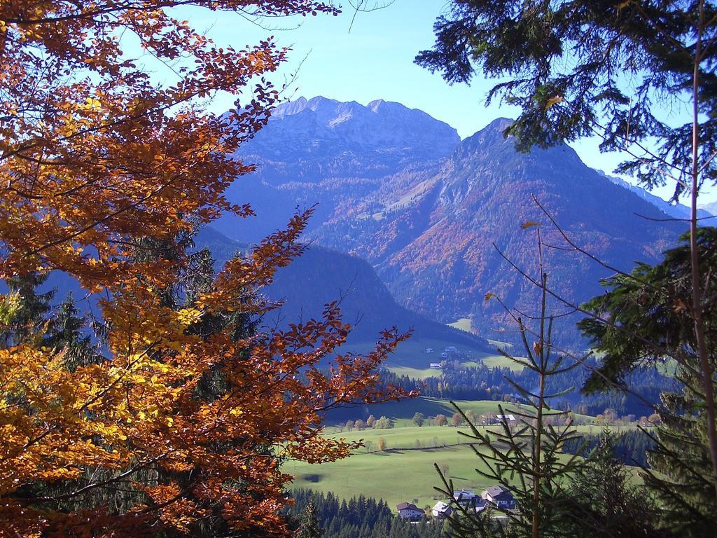 Hausmenneweger Apartment Annaberg im Lammertal Bilik gambar